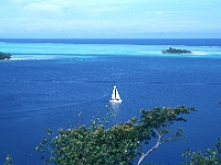 Bora Bora, Motu (kleine Insel) Tapu, West Coast. Motus sind kleine mit Palmen bestandene Inseln, die sich auf dem äußeren Korallenring gebildet haben.